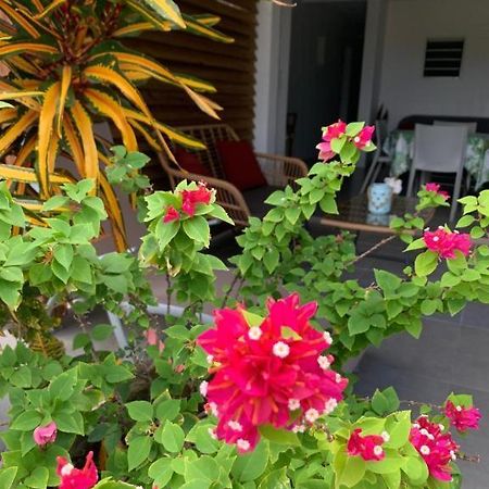 Le Tropical Appartement 1 Ou 2 Chambres Les Anses-d'Arlets Buitenkant foto